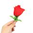 Kép 5/9 - Panty Rose - rózsaszálba rejtett tanga - piros (S-L)